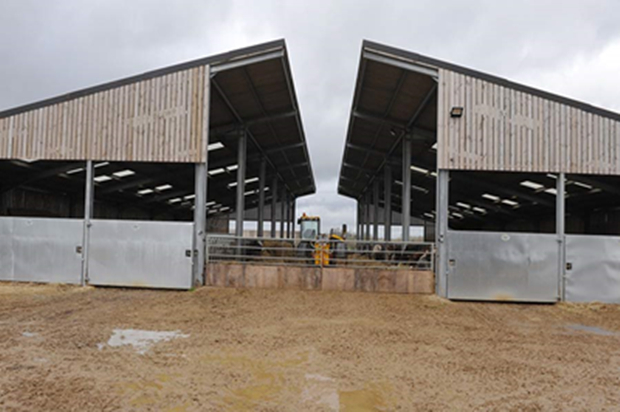 Prefab Steel Structure Cattle Farm Barn