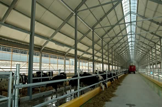 Prefab Steel Cattle Farm House