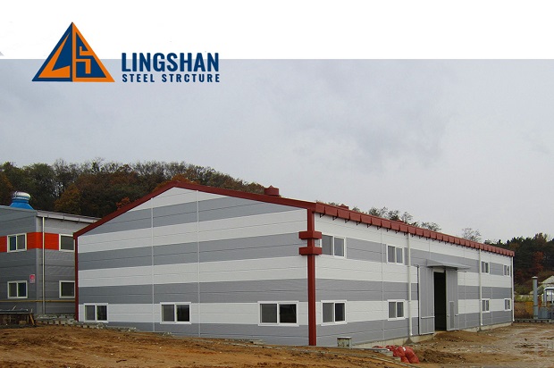 Factory steel structure shed building design metal