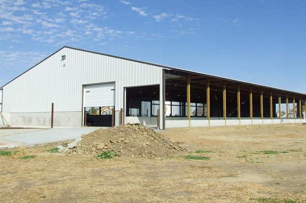 Steel Structure Cow Barn Building