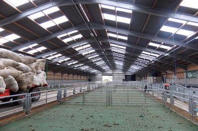 High Quality Prefab Steel Sheep Farm Shed