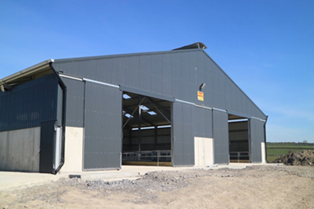 Pre Engineering Steel Structrue Cow Farm Barn